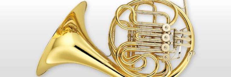 Close-up of french horn