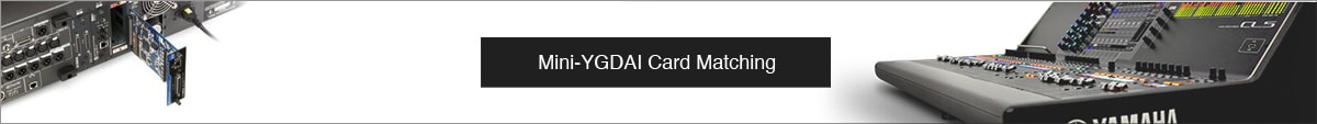 YGDAI Cards
