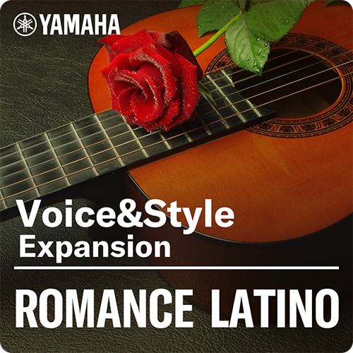 Image of Voices & Style Expansion Romance Latino