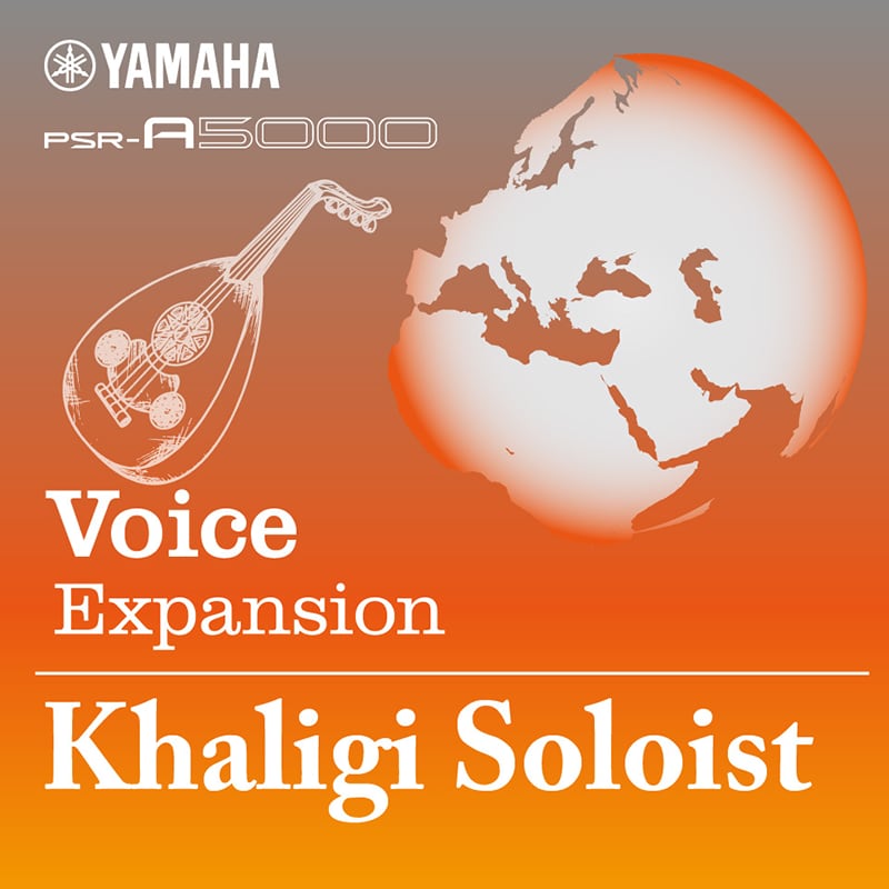 Image of Voices & Style Expansion Khaligi Soloist