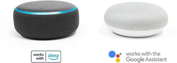 Amazon Alexa and Google Assistant