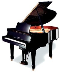 Dealers Choice Disklavier