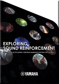 Exploring Sound Enforcement