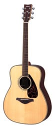 FG 730S Guitar