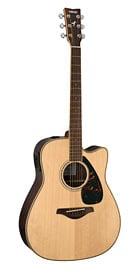 FGX730 Acoustic Guitar