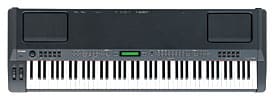 CP300 Digital Piano