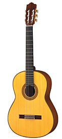 CG201S Acoustic Guitar