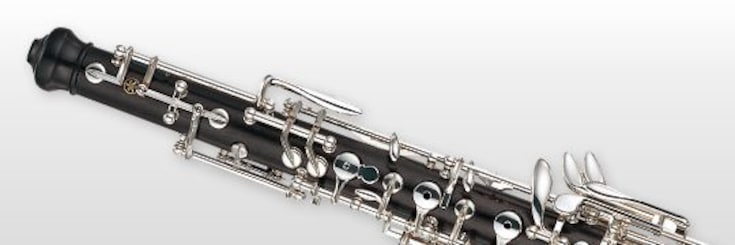 Close-up of oboe