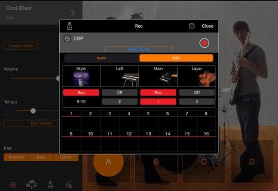 Digital Display of Multi-Track song recording