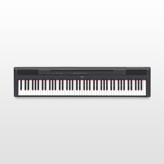 P-115 - Accessories - Portables - Pianos - Musical Instruments 