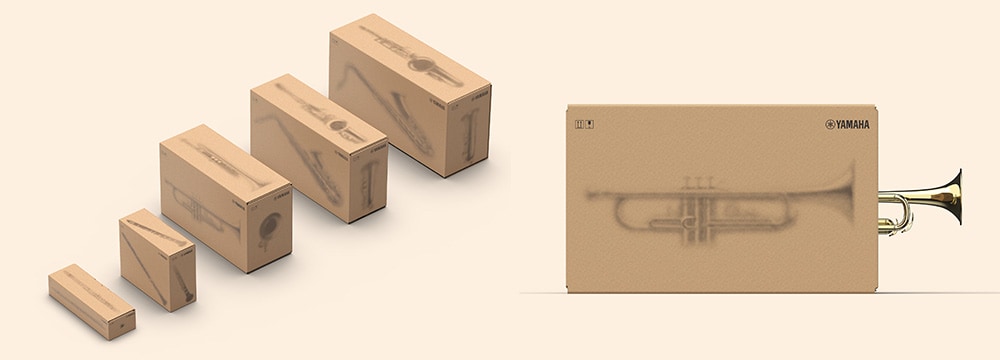 Packaging boxes for entry-level