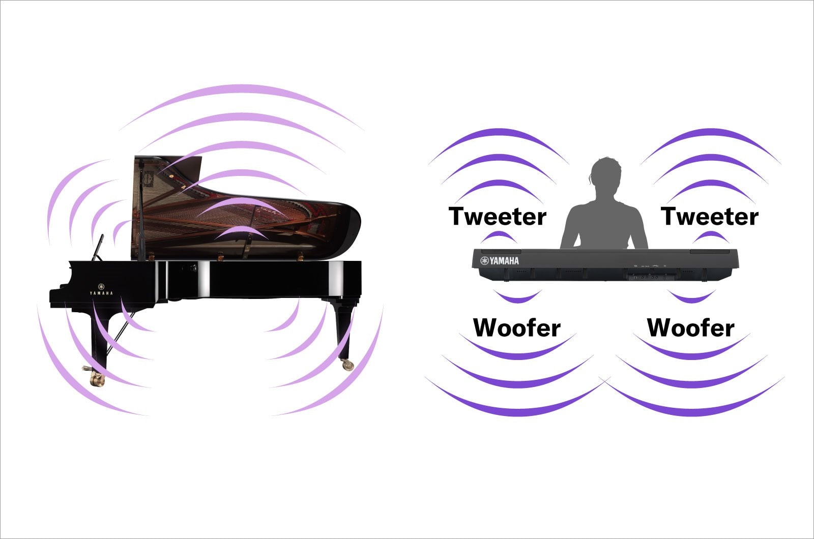 A diagram comparing a grand piano with the P-125a, showing the sound emanating from above and …