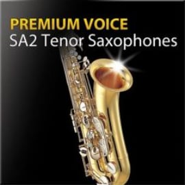 Image of Premium Voice SA2 Tenor Saxphones