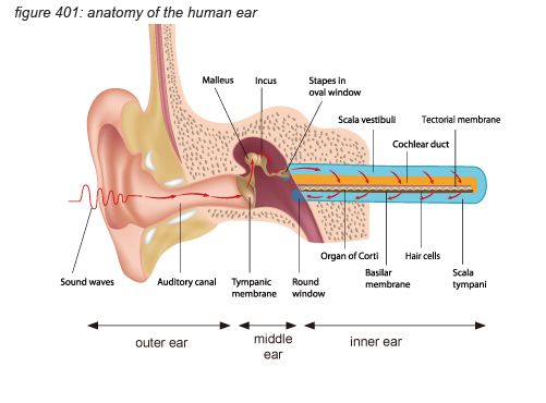 Solved The softest sound a human ear can hear is at 0 dB (Io