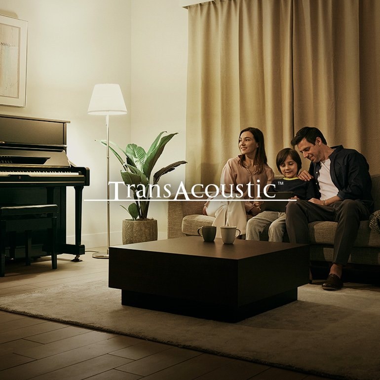 Image showing transacoustic piano and a family sitting on sofa