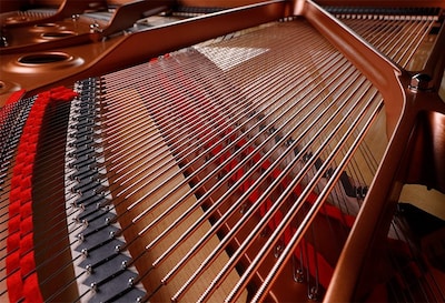Image showing strings inside of transacoustic piano