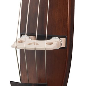 Body Designed for Pure Acoustic Tone