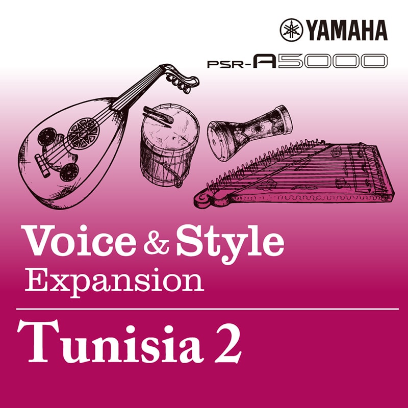 Image of Voices & Style Expansion Tunisia 2