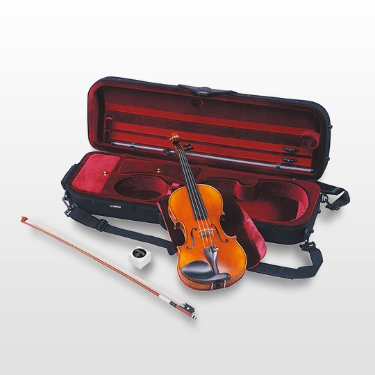 AV10 SG - Overview - Acoustic Strings - Strings - Musical 