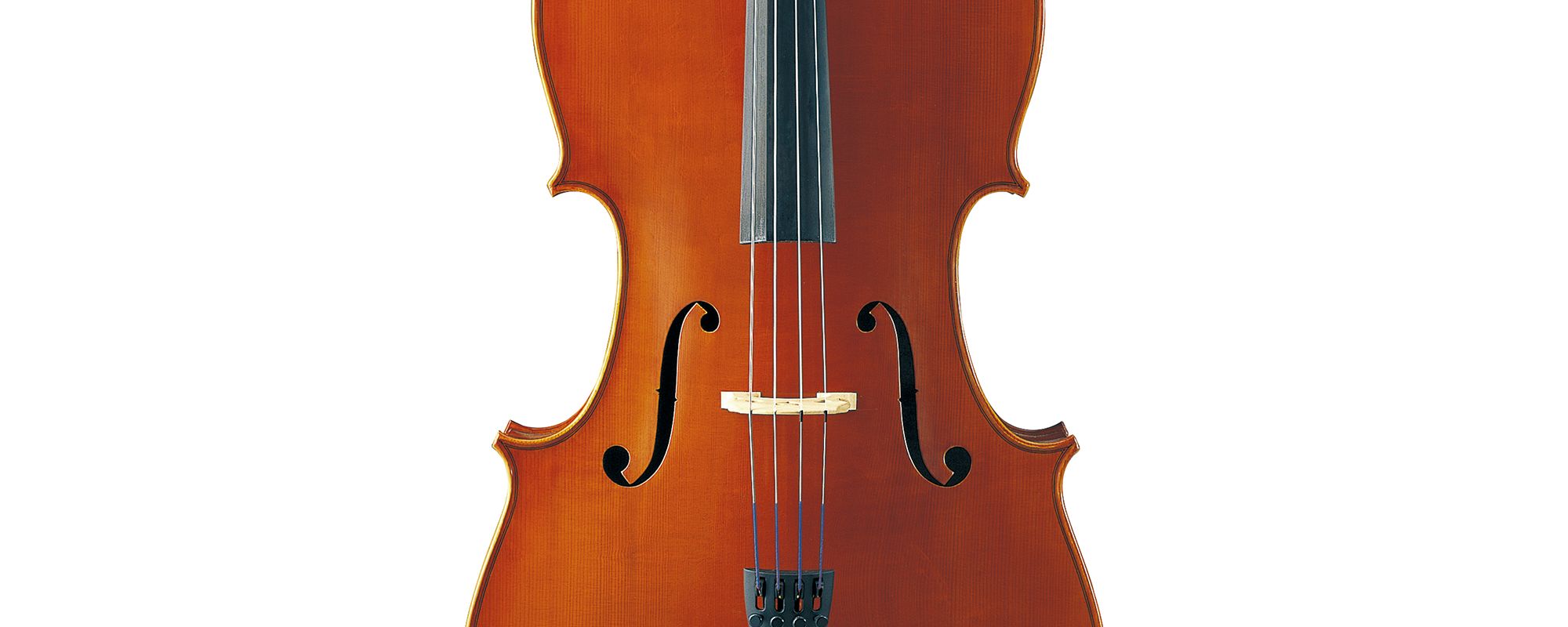 AVC5 S - Specs - Acoustic Strings - Strings - Musical Instruments