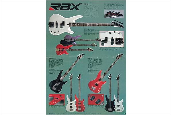 RBX-800 Electric Bass